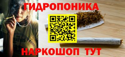 гидра Аргун