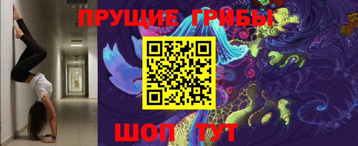 Галлюциногенные грибы Cubensis Балашиха