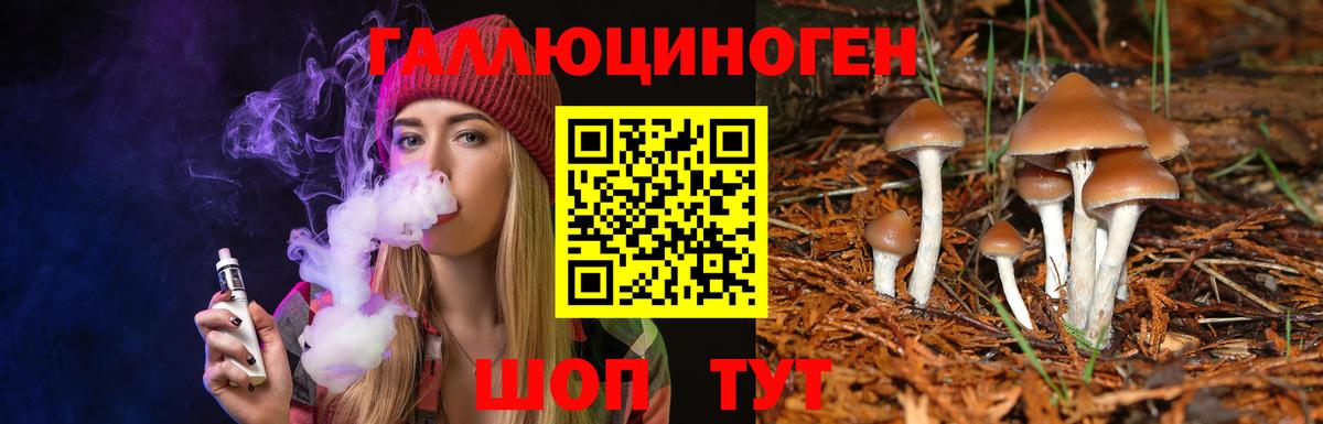 Псилоцибиновые грибы MAGIC MUSHROOMS  Вход с VPN  Псилоцибиновые грибы MAGIC MUSHROOMS  Балашиха 