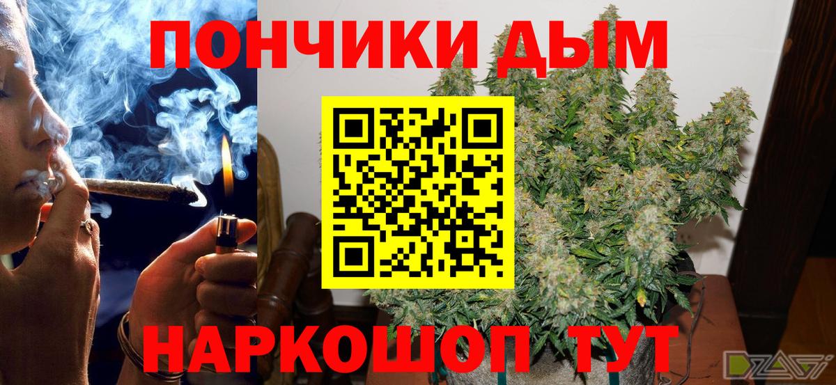 Конопля гибрид Балашиха